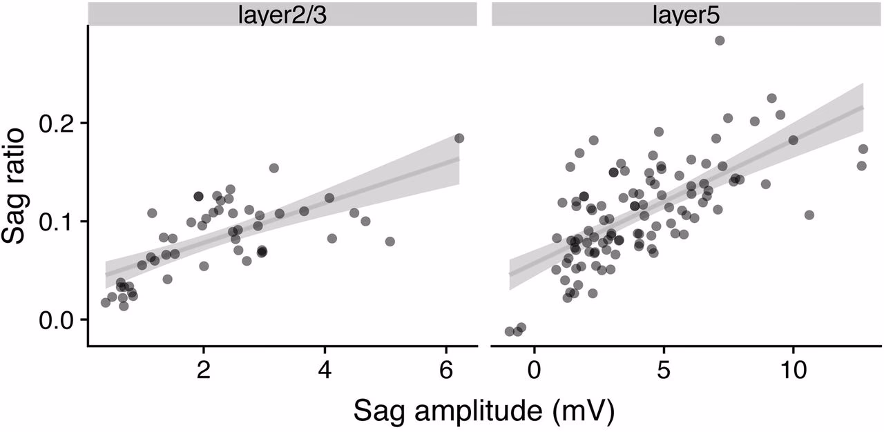 How is brain sag diagnosed?