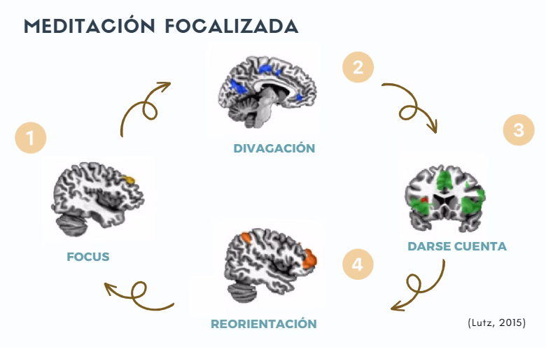 ¿Qué es la saliencia en neurociencia?