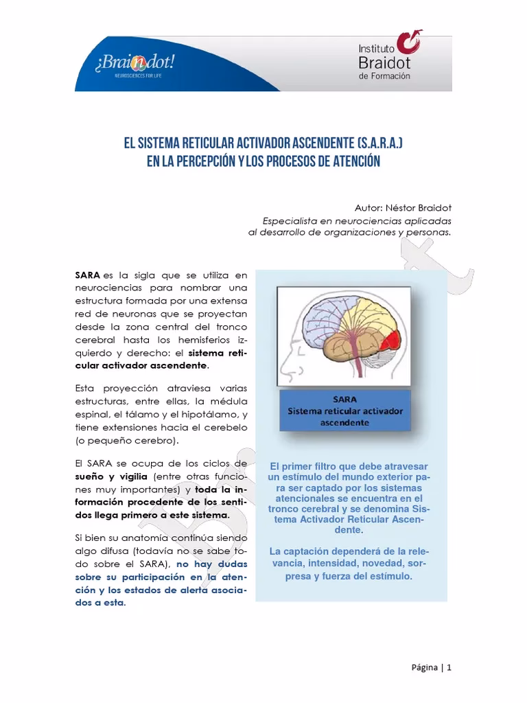¿Qué es el Sara en neurociencia?
