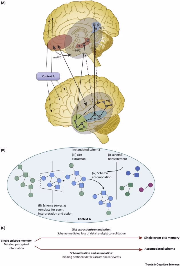 What are the 5 core schemas?