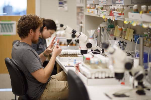 What major is Scripps College known for?
