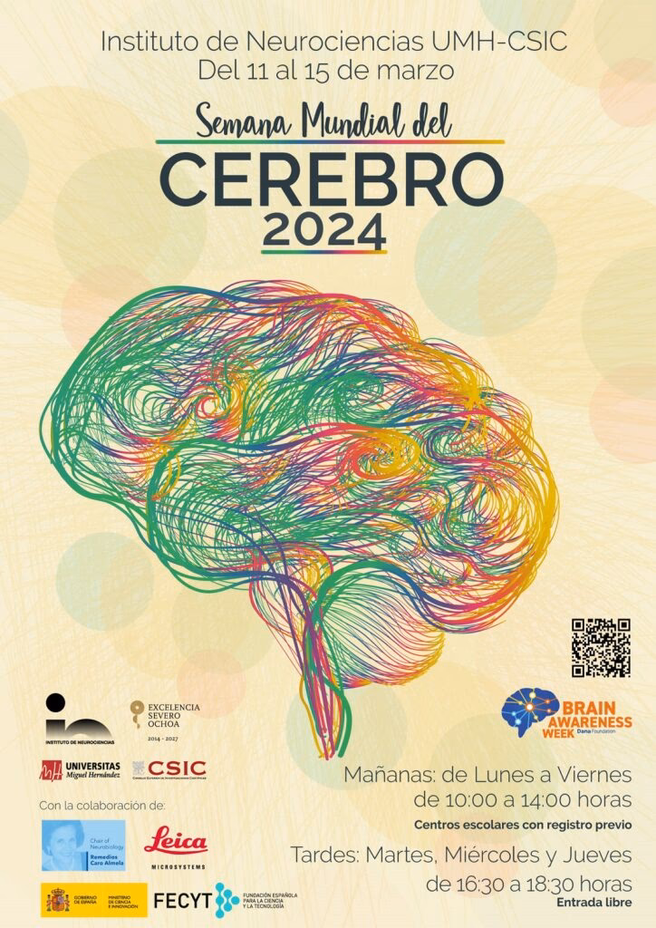 ¿Cuándo es la Semana Mundial del cerebro?