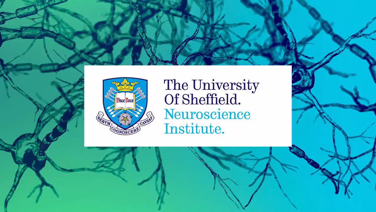 Does Sheffield do neuroscience?
