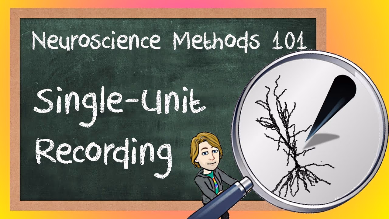What is a single-unit recording in the brain?