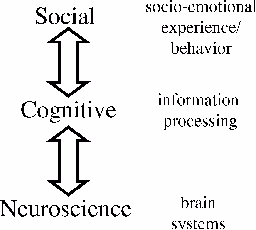 What is the core concept of social cognitive theory?