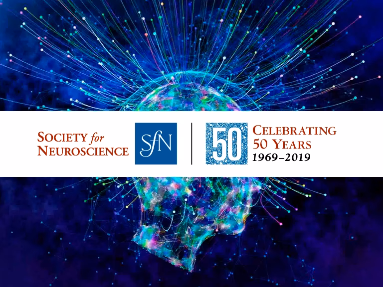 ¿Qué es la neurociencia y la sociedad?