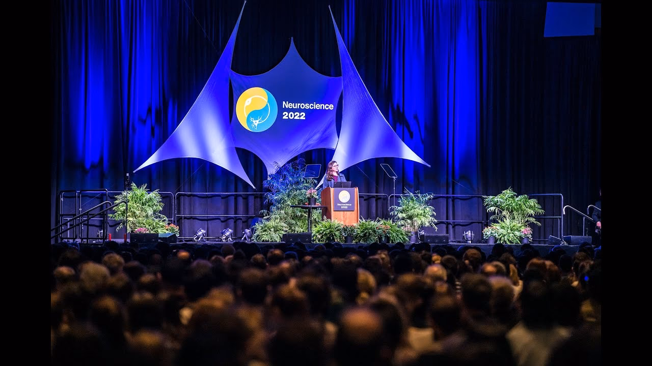 What are the stages of shoulson fahn?