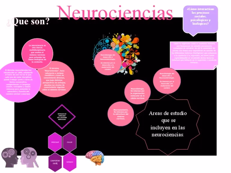 ¿Qué es el estudio de la biología del comportamiento?