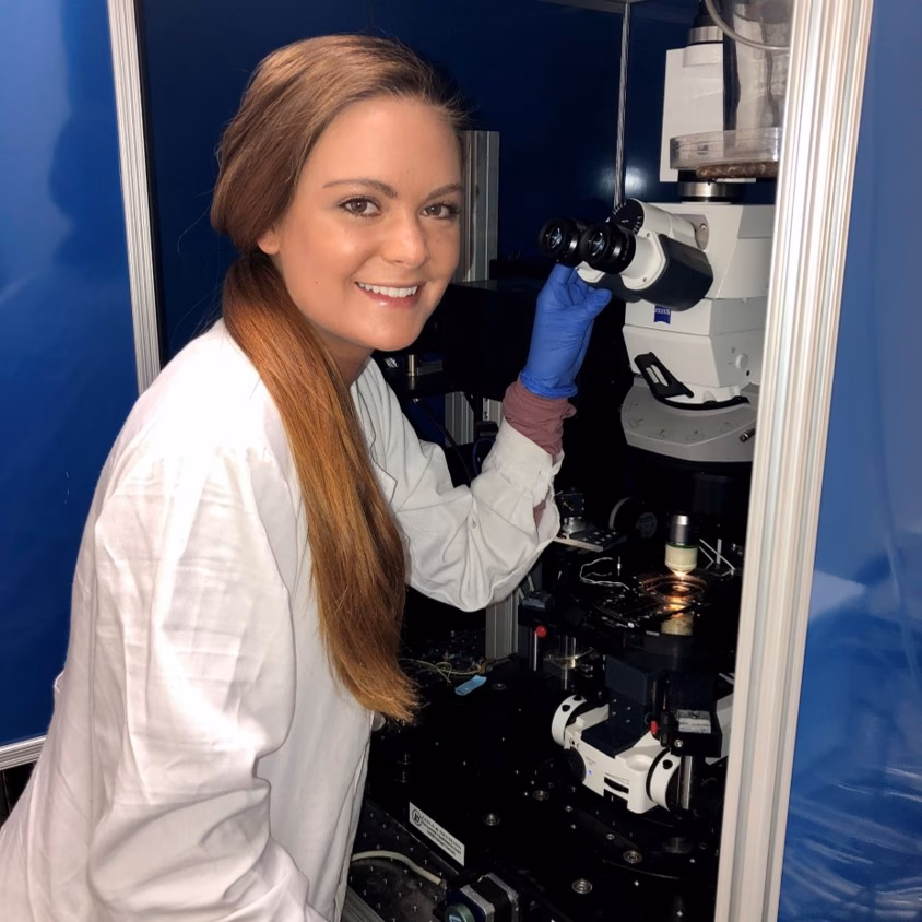 What are the top 3 majors at Texas Tech?