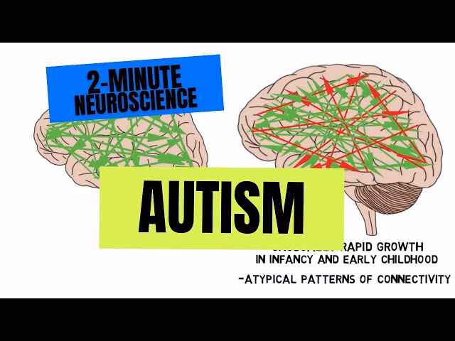 What are the neurological issues with autism?