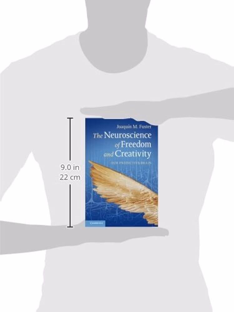 How does serotonin affect creativity?