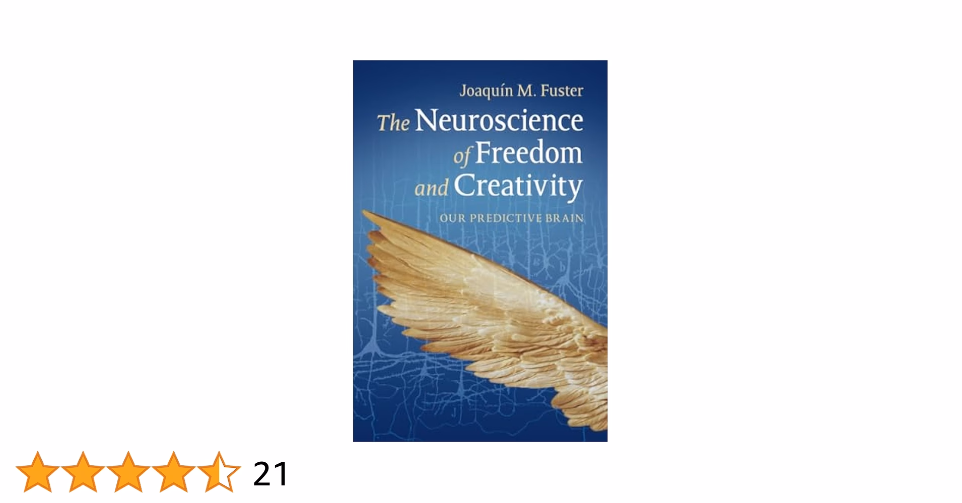What is the predictive nature of the brain?