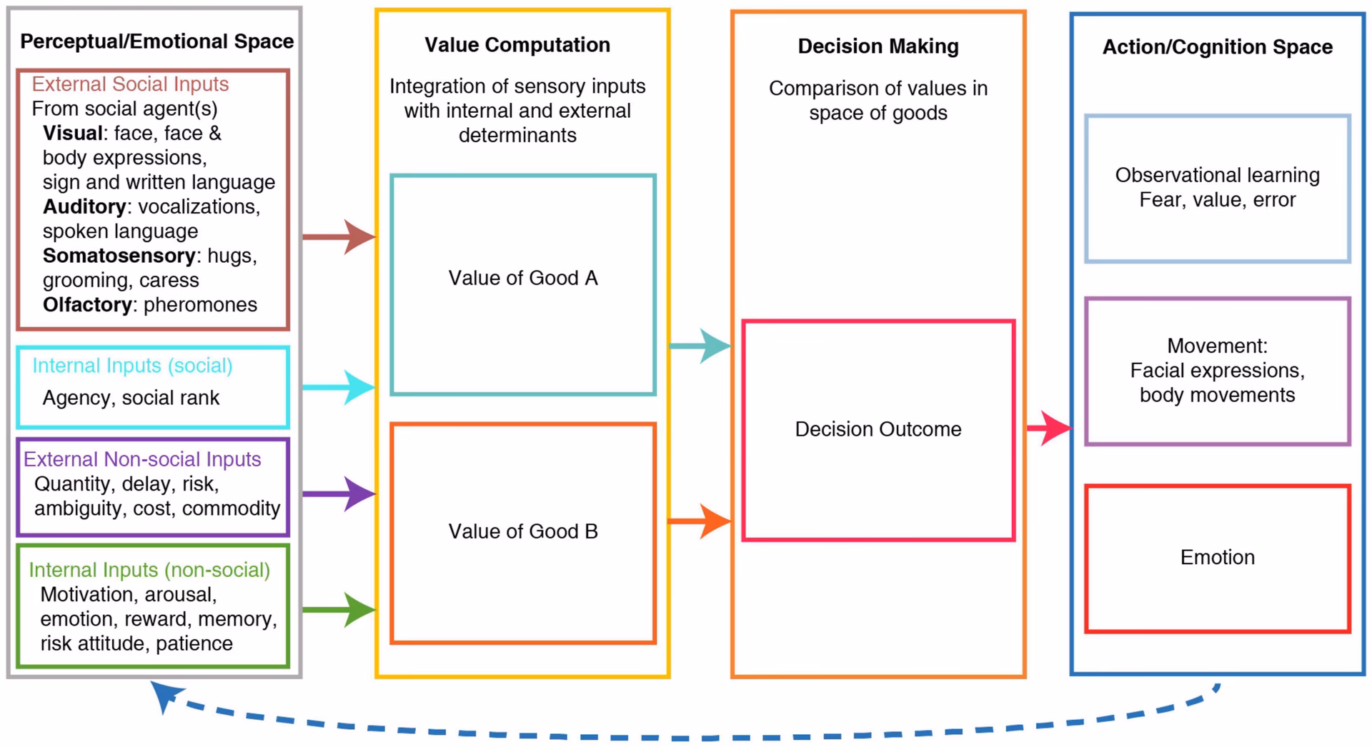 What is the neural basis of social decision making?