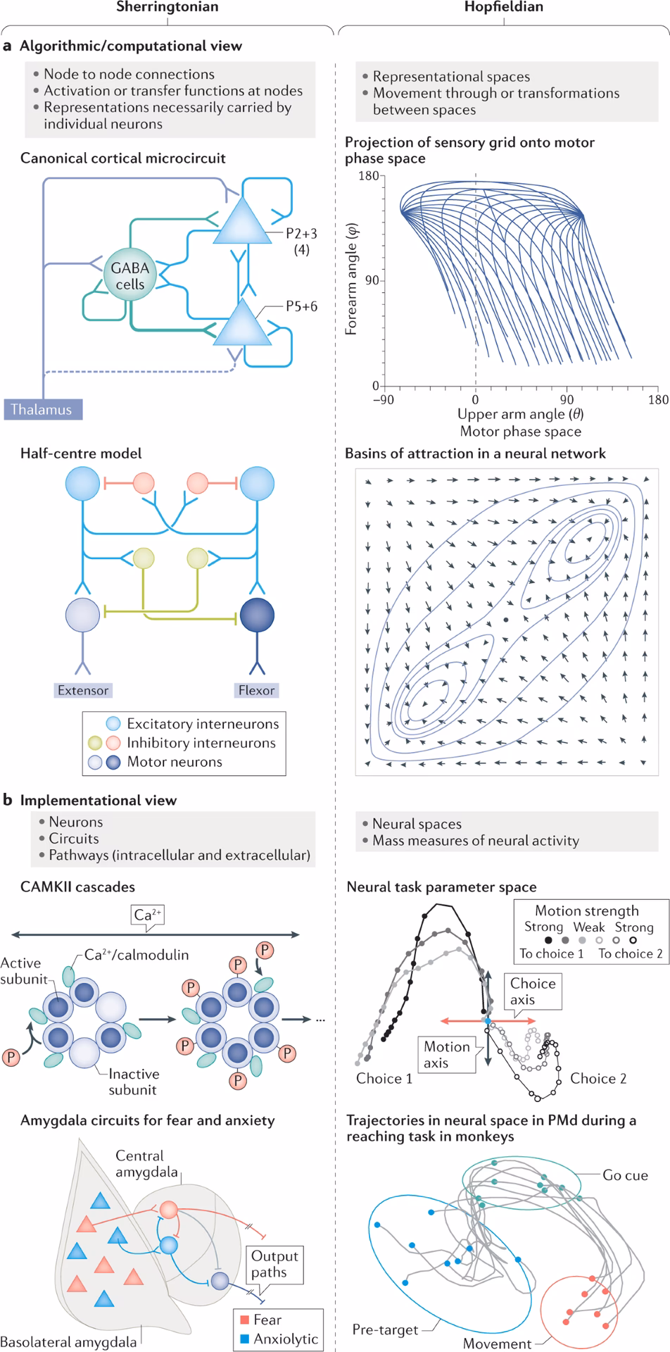 What is the doctrine of neuroscience?