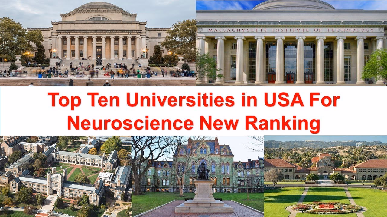What school has the best neuroscience program?