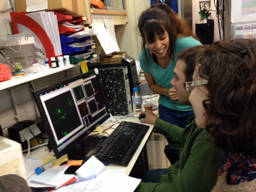 ¿Qué trabajos están más demandados en España?