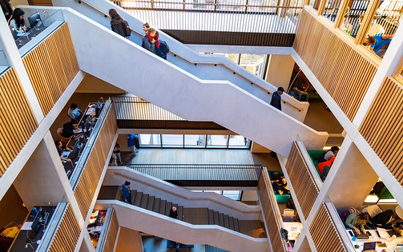 What is the acceptance rate for neuroscience at UCL?