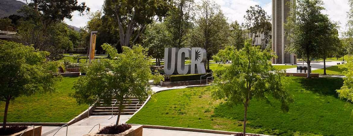 What are the top 3 majors in UCR?