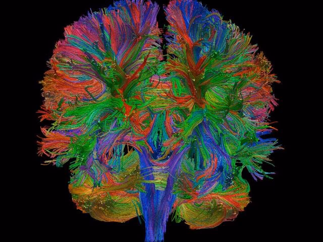 Does UCSB have a master's in psychology?