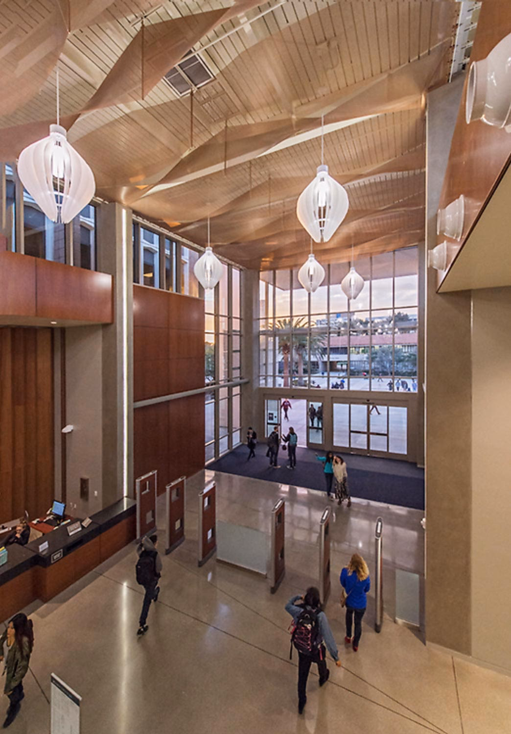 Is there a neuroscience major at UCSB?