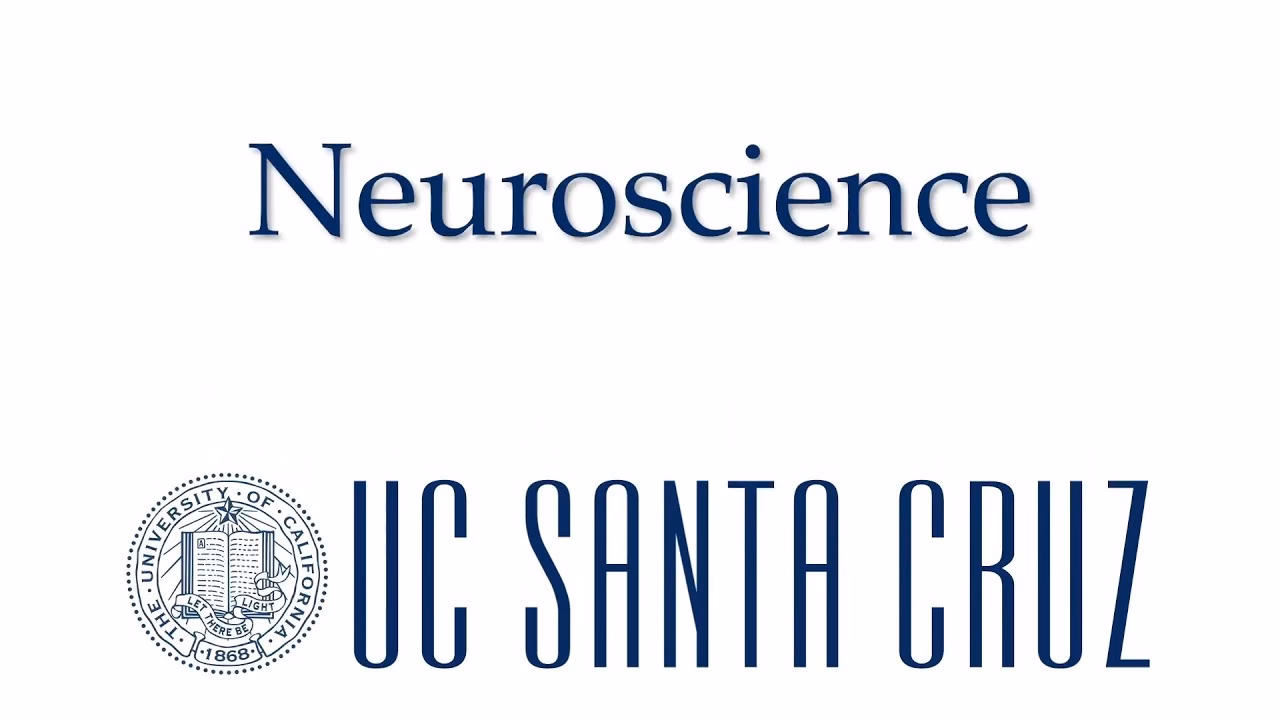 What is the easiest major to get into at UCSC?