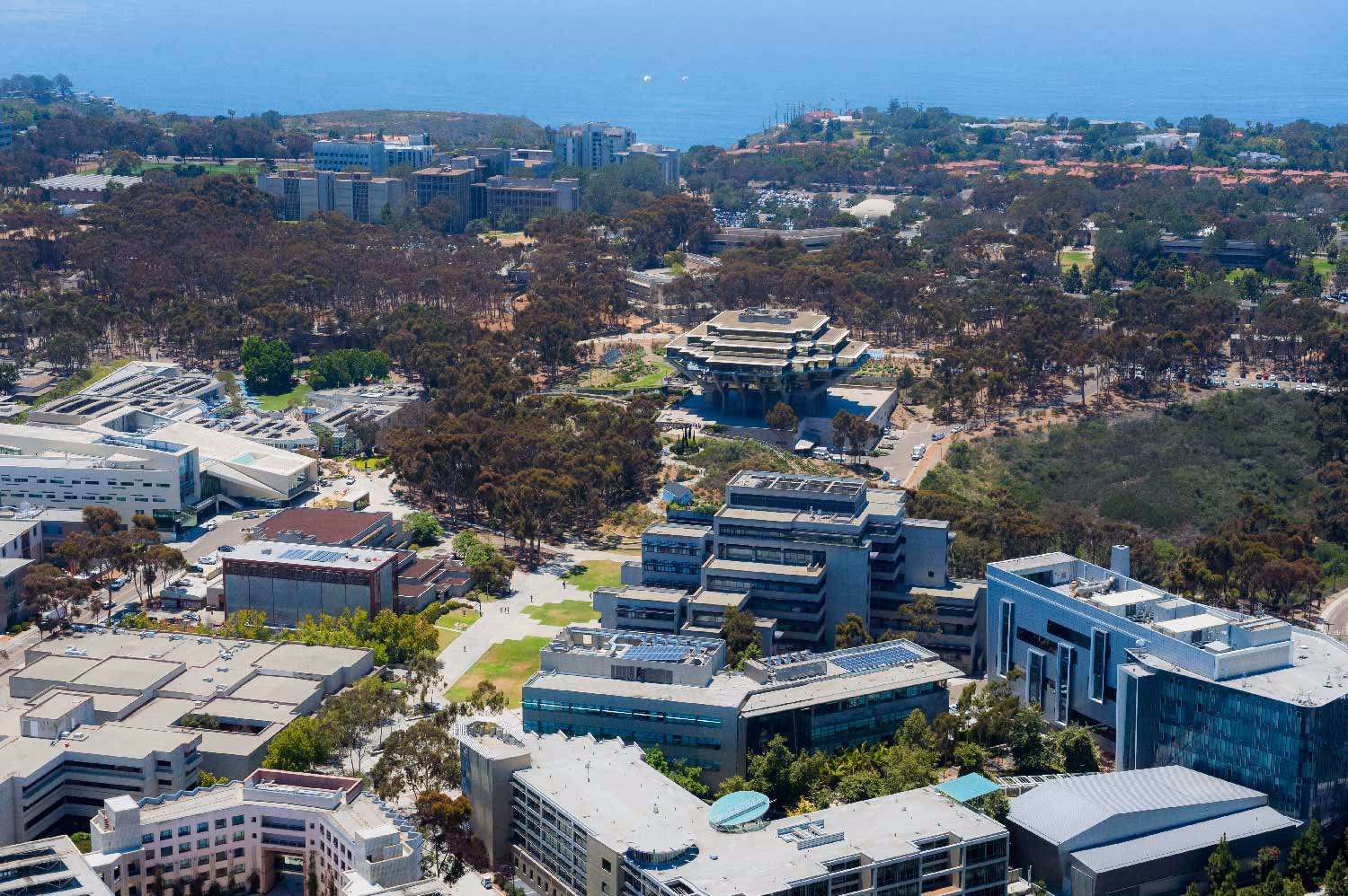 What majors are UCSD best known for?