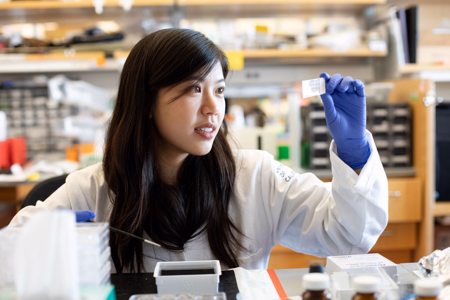 What are the best majors at UCSF?