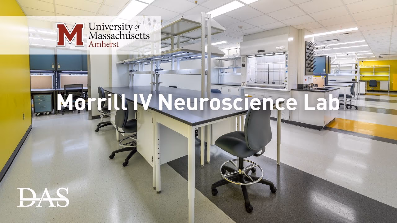 Does UMass Amherst offer neuroscience?