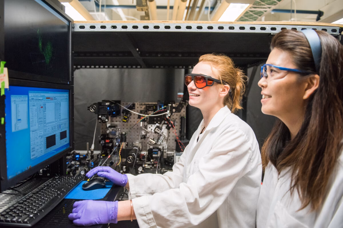 Does UMBC have a PhD program?