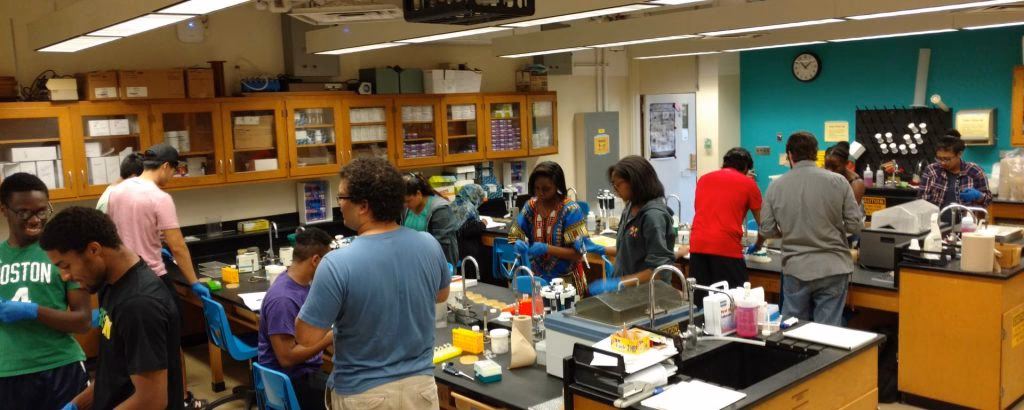 What majors is UMBC known for?