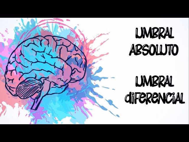 ¿Qué es el umbral en el cerebro?