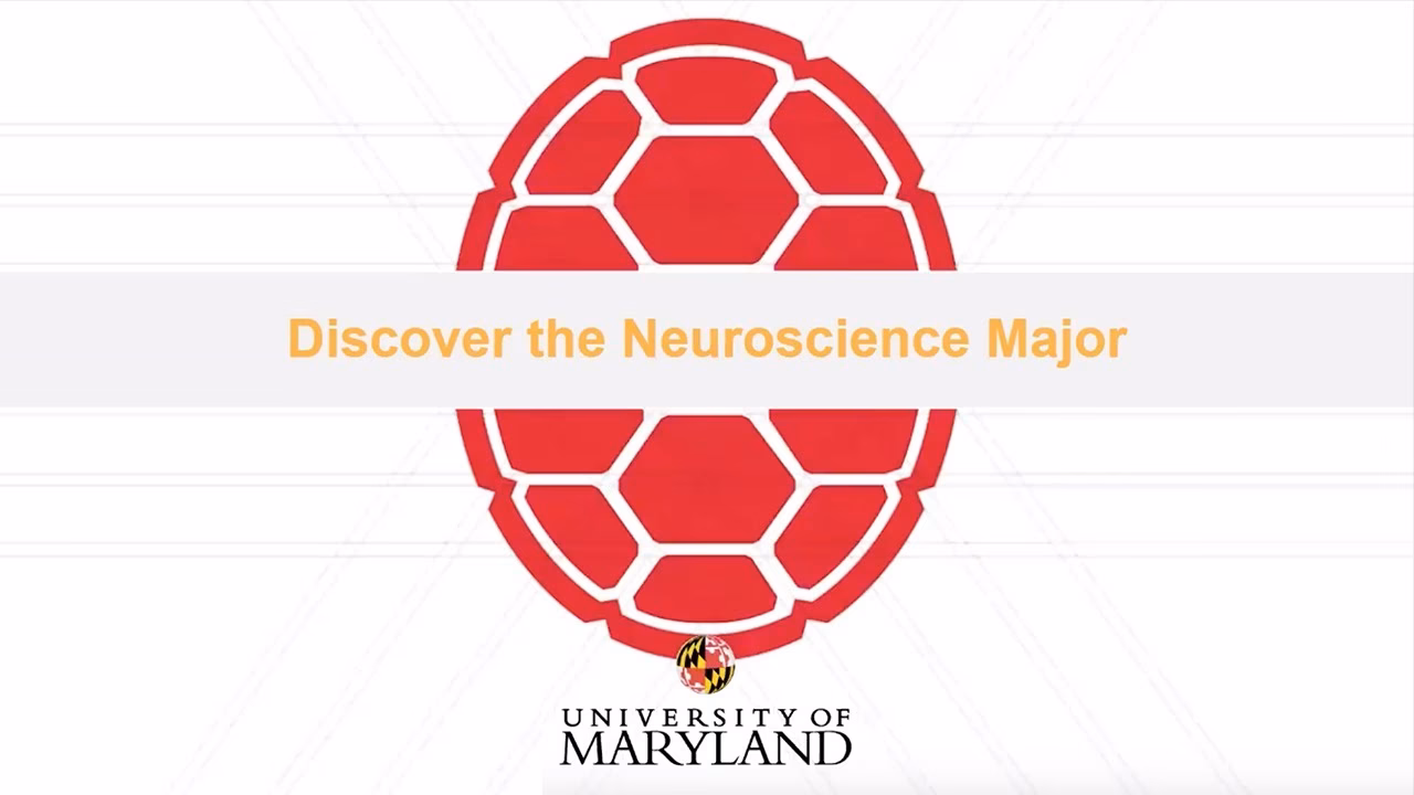 What is the acceptance rate for UMD PhD?