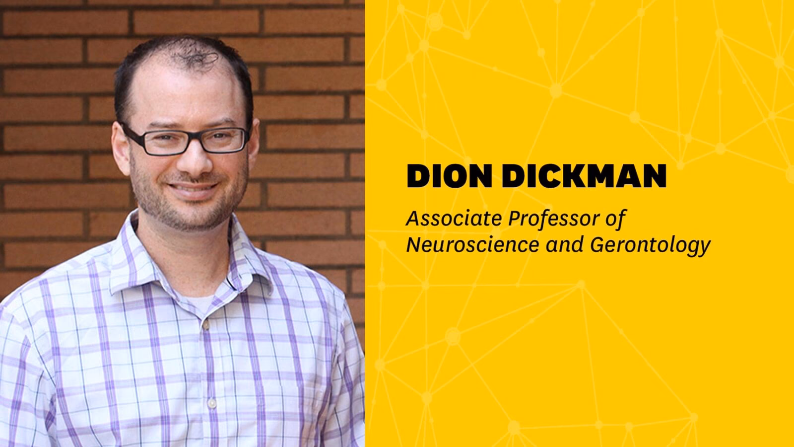 How much do USC professors make?