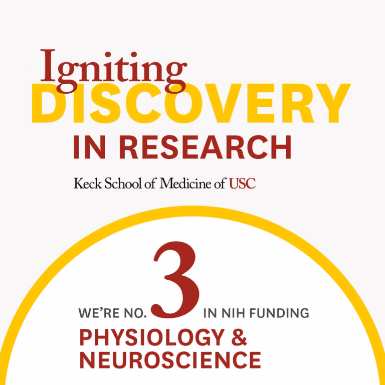 Is USC PhD fully funded?