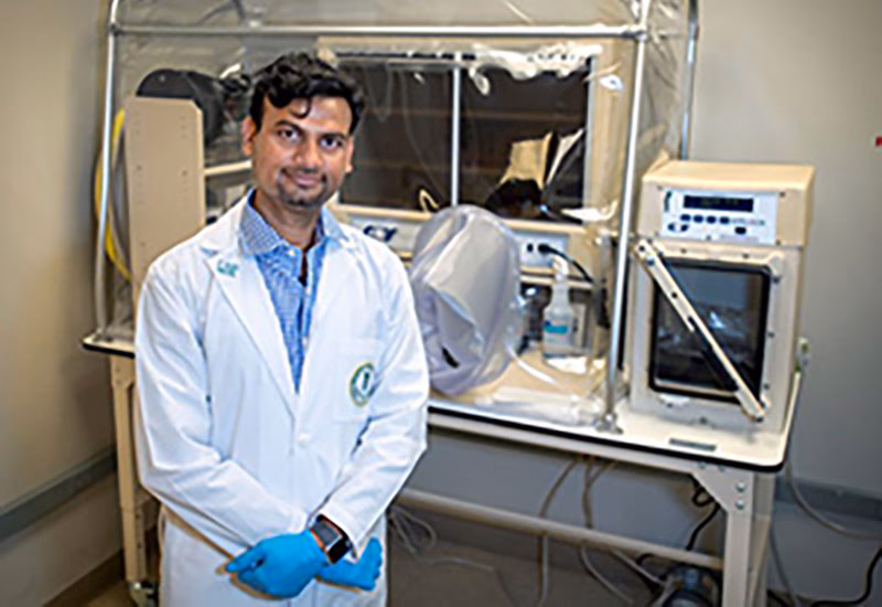 Does USF have a psychiatry program?