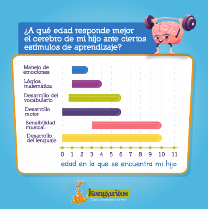 ¿Qué son las ventanas de oportunidades?