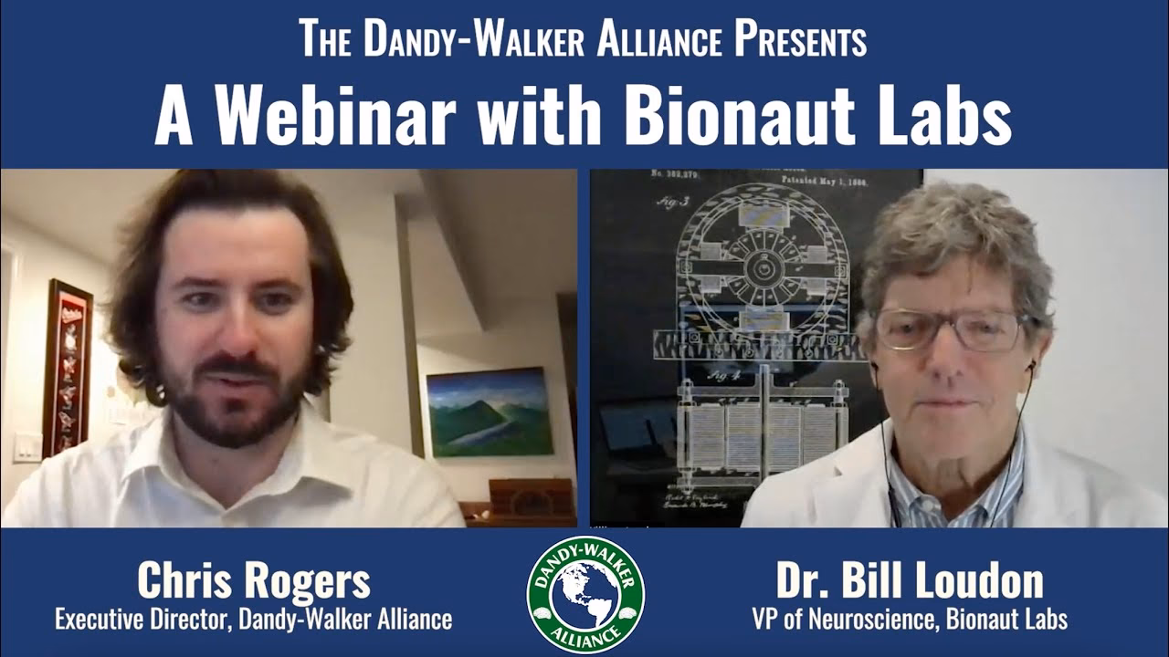 What is AVP in neuroscience?