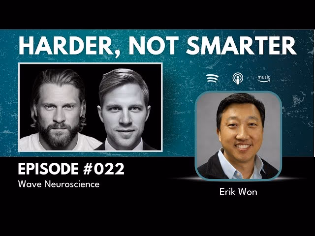 Who is the CEO of Waves Group?