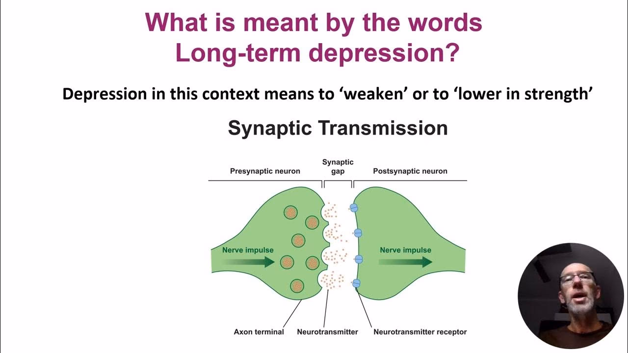 What is brain long-term depression?