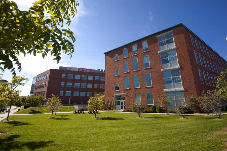 Does WPI have a neuroscience major?