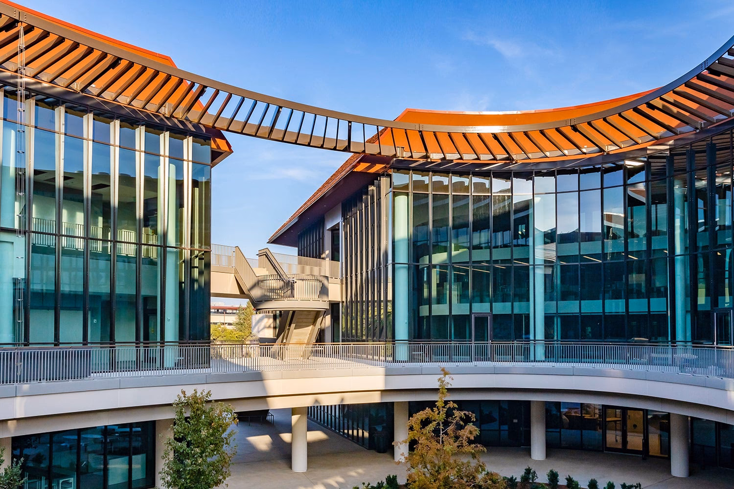 What is the Stanford neuroscience Summer Program?