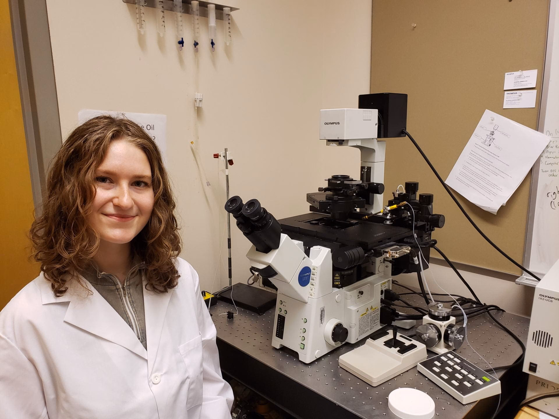 What does a behavioural neuroscientist do?